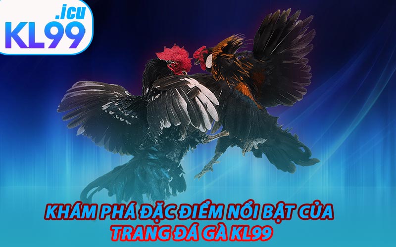 Khám Phá Đặc Điểm Nổi Bật Của Trang Đá Gà KL99